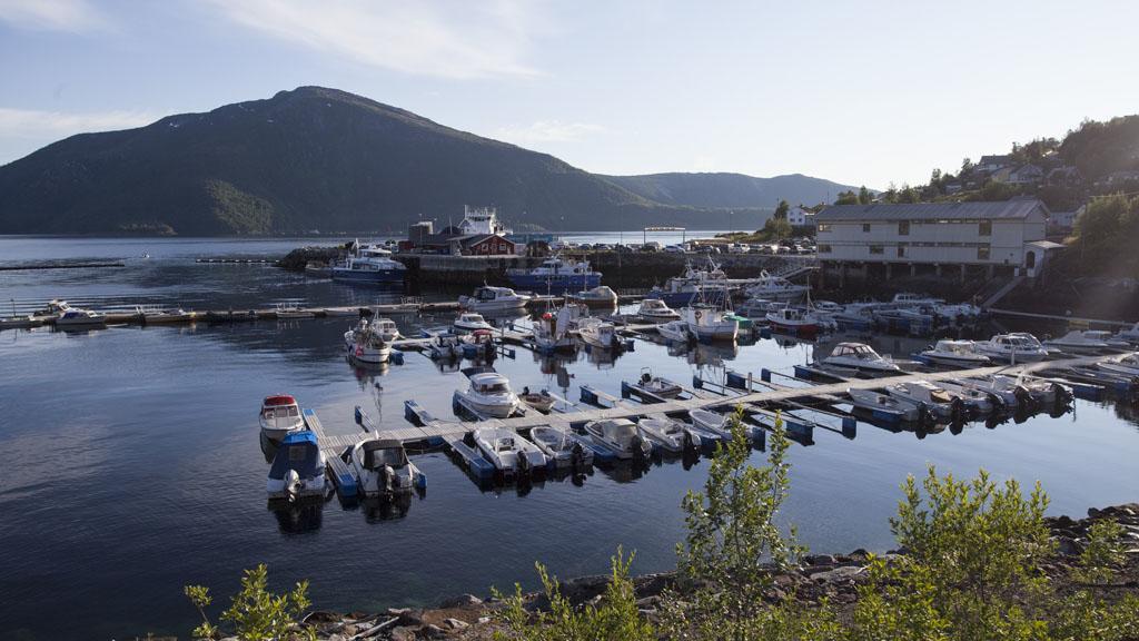 Stetind Hotel Kjopsvik Bagian luar foto